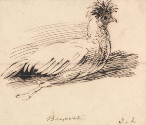 Une poule - John Linnell