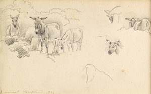 Ânes, 1824 - John Linnell