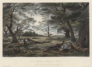 Abattage de bois dans la forêt de Windsor (gravure en couleur)