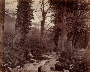 Sans titre, vers 1859
