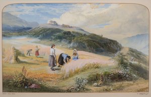 Champ de récolte, Arran - John MacWhirter