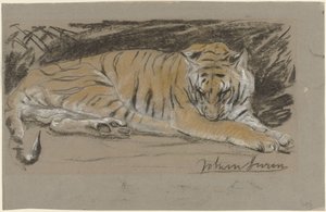 Tigresse - John Macallan Swan
