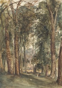 Jardins de Kensington - John Martin