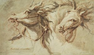 Deux têtes de chevaux
