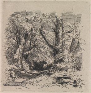 Un chemin à travers le bois - John Middleton