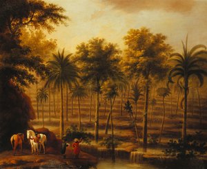 Vue des cascades de Roaring River, Jamaïque - John Milton