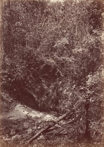 Darien Expedition,1871 (photo) - John Moran