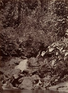 Paysage tropical, Cascade, Rivière Limon, 1871