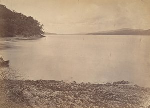 Paysage tropical, port de Darien - Vue vers le sud, 1871