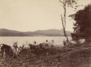 Paysage tropical, port de Darien, Chipigana, 1871