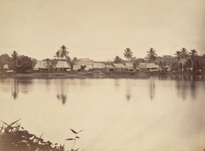 Paysage tropical, Santa Maria del Real, Darien, 1871 - John Moran