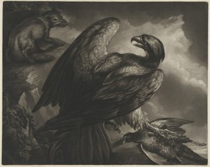 Aigle et renard - John Murphy after James Northcote