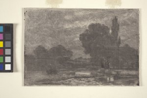 Paysage marécageux - John Otis Adams