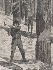 Exploitation forestière en hiver Every Saturday, Vol. II, New Series, 28 janvier 1871