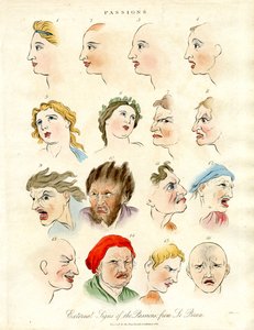 Signes extérieurs des passions de Le Brun - John Pass