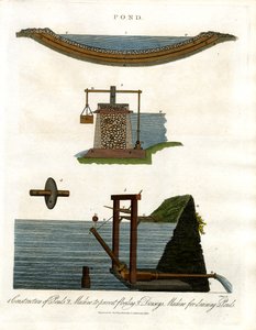 Étang : Coupes transversales et mécanismes d