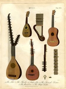 Le luth ; le théorbe ou archiluth ; la guitare espagnole ; la mandoline ; la harpe-guitare.
