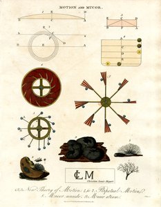 Théorie du mouvement et champignons Mucor - John Pass