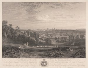 Vue d