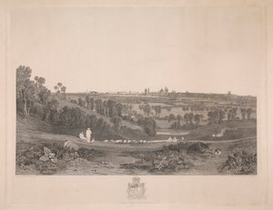 Vue d