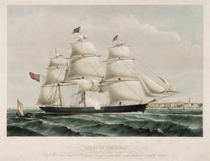 Clipper 