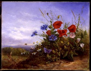 Fleurs sauvages sur une berge