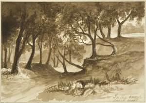 Vue dans le camp de Burwalls, Leigh Woods - John Reverend Eden