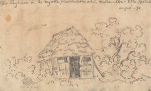 Le Pagliaro dans la plantation de myrtes à la villa de Sir William Hamilton, Portici