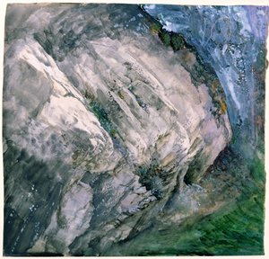 Rochers et végétation à Chamouni, 1854 - John Ruskin