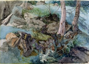 Étude de rochers et de fougères dans un bois à Crossmount, Perthshire, 1843 - John Ruskin