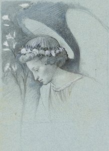 Étude de la tête de l