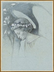 Étude de la tête de l