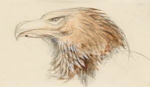 La tête d