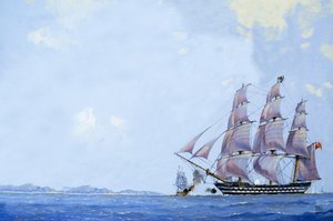 Tondeuse à thé - John S. Smith