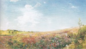 Paysage d