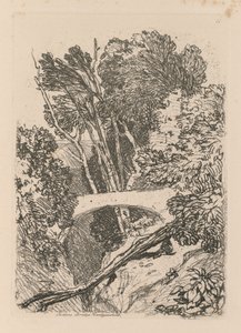 Liber Studiorum: Planche 11: Parsons Bridge, Cardingshire, 1838 - John Sell Cotman