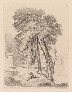 Liber Studiorum : Planche 18, Arbres à Norwich Thorp, Norfolk - John Sell Cotman