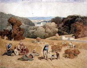 Le champ de récolte
