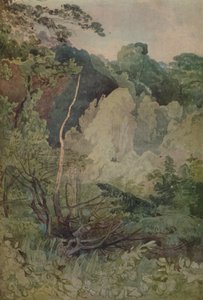 Arbres près de la rivière Greta, 1923 - John Sell Cotman