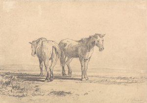 Deux vieux chevaux dans un champ - John Sell Cotman