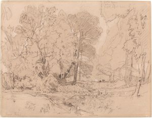 Paysage boisé - John Sell Cotman