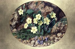 Primevères et violettes