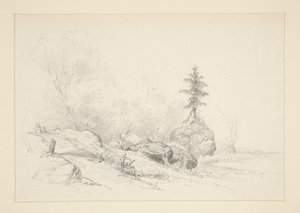 Paysage