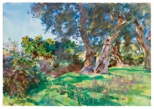 Oliviers, Corfou
