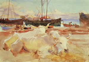 Bœufs sur la plage à Baia, c.1908 - John Singer Sargent