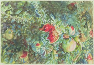 Grenades, 1908