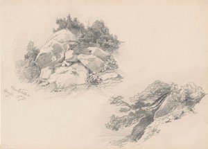 Rochers et Broussailles, Hintersee, Allemagne, 1871 - John Singer Sargent