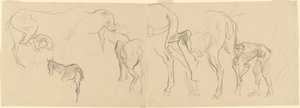 Études pour ferrer les chevaux de cavalerie au front [recto] - John Singer Sargent