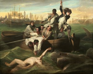Watson et le requin