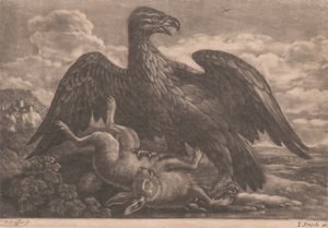 Aigle et lièvre - John Smith